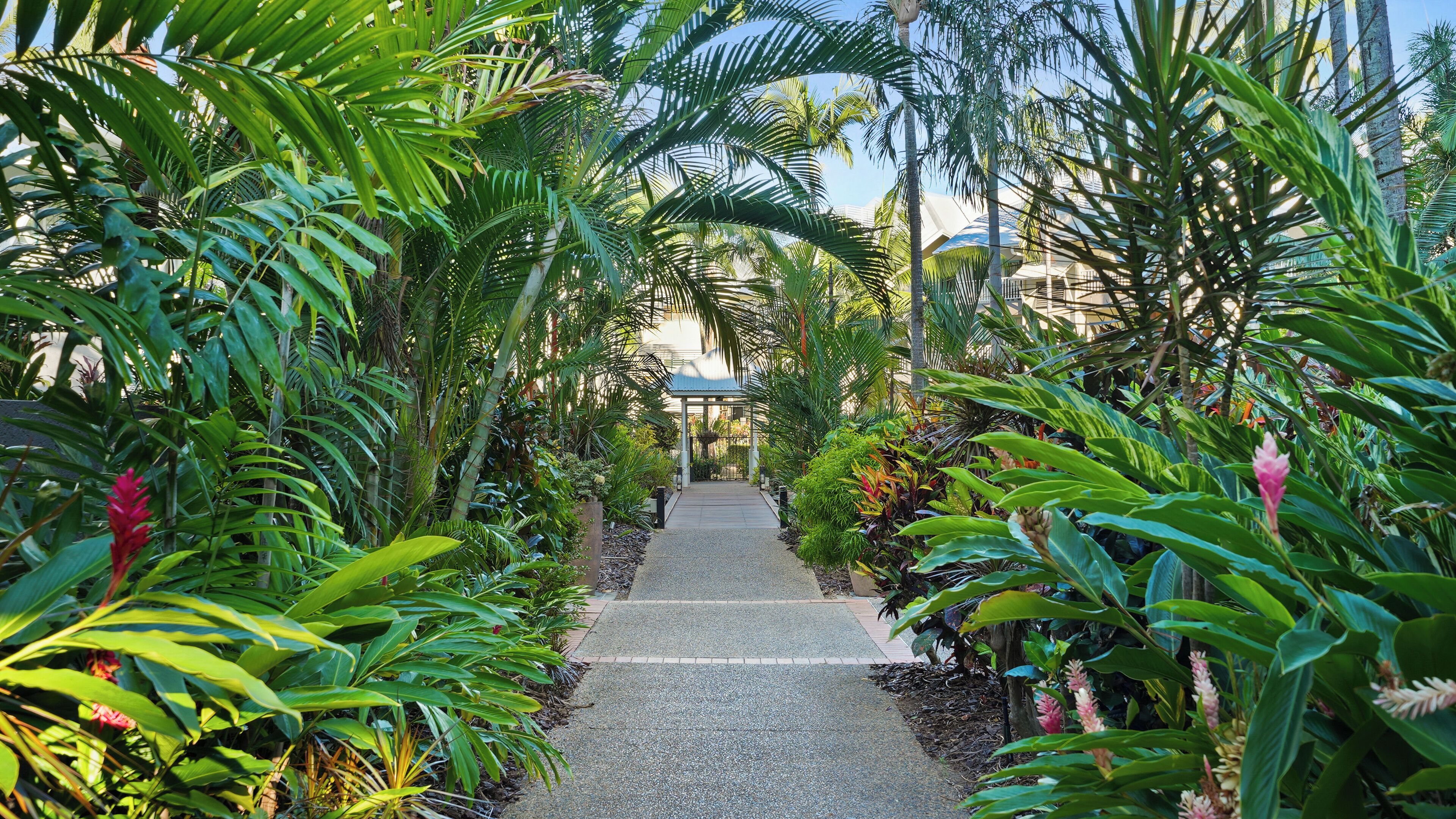 Un sendero bordeado por exuberante vegetación tropical que conduce a una estructura cubierta.