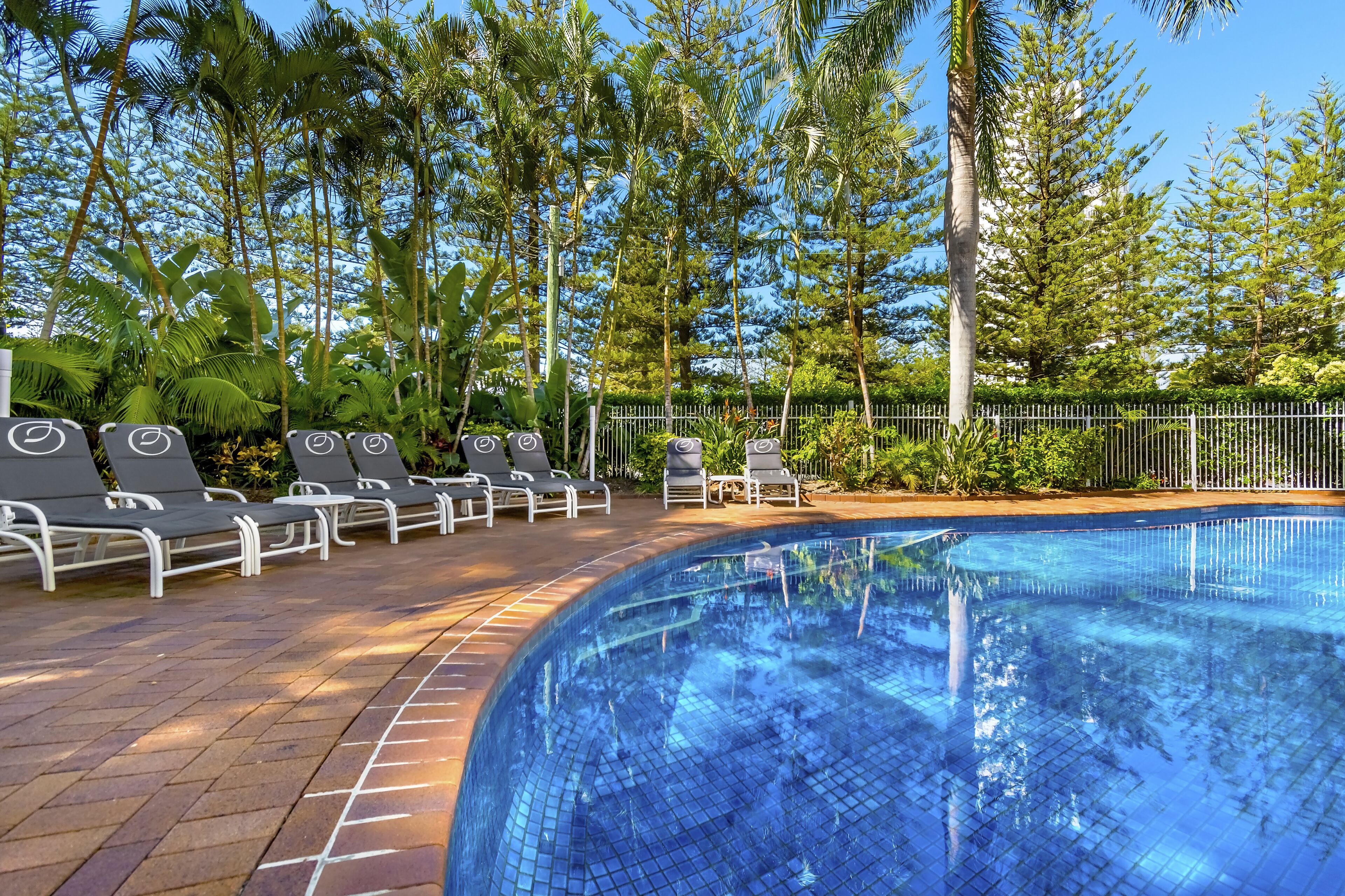 Oscar on Main Resort — image 3