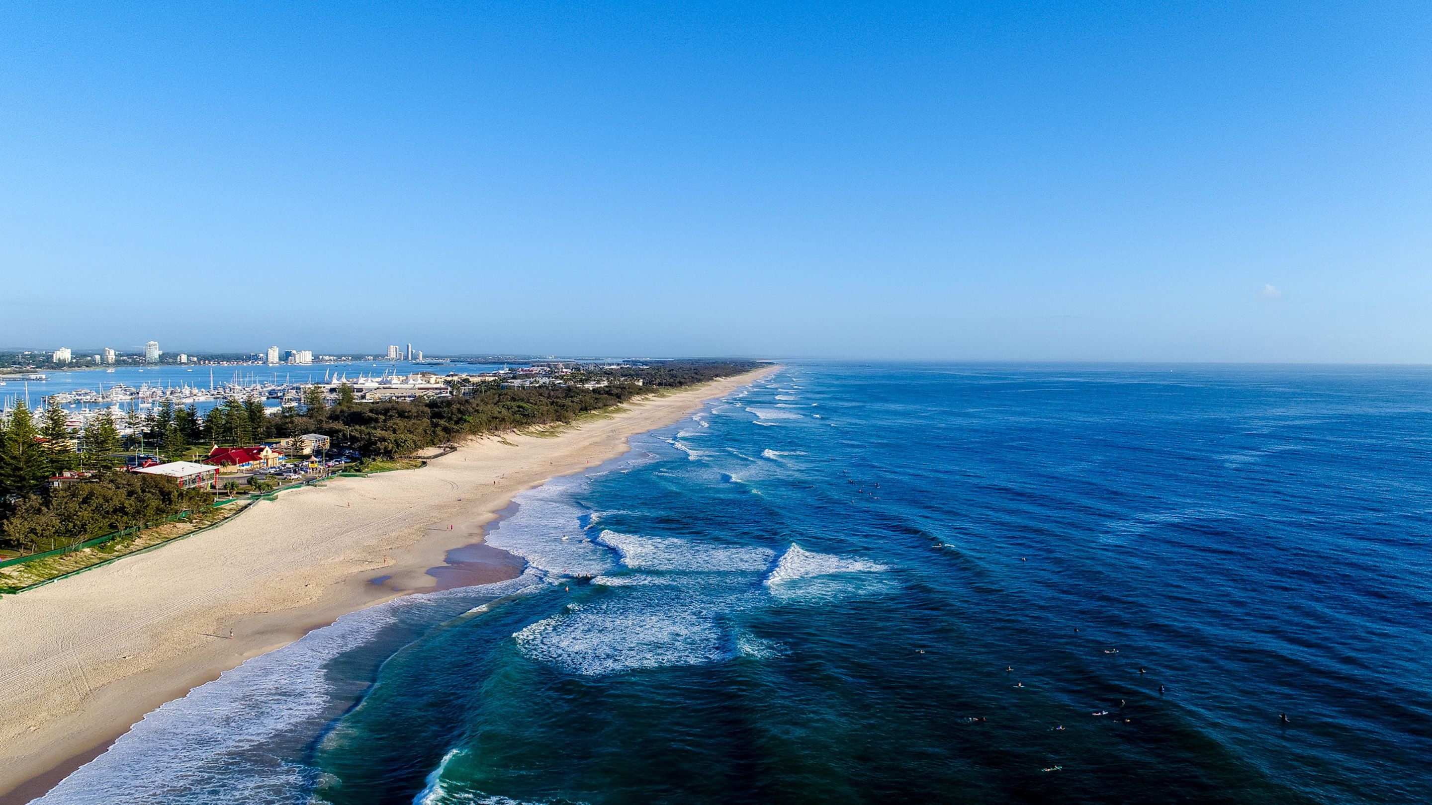 Oscar on Main Resort — image 17