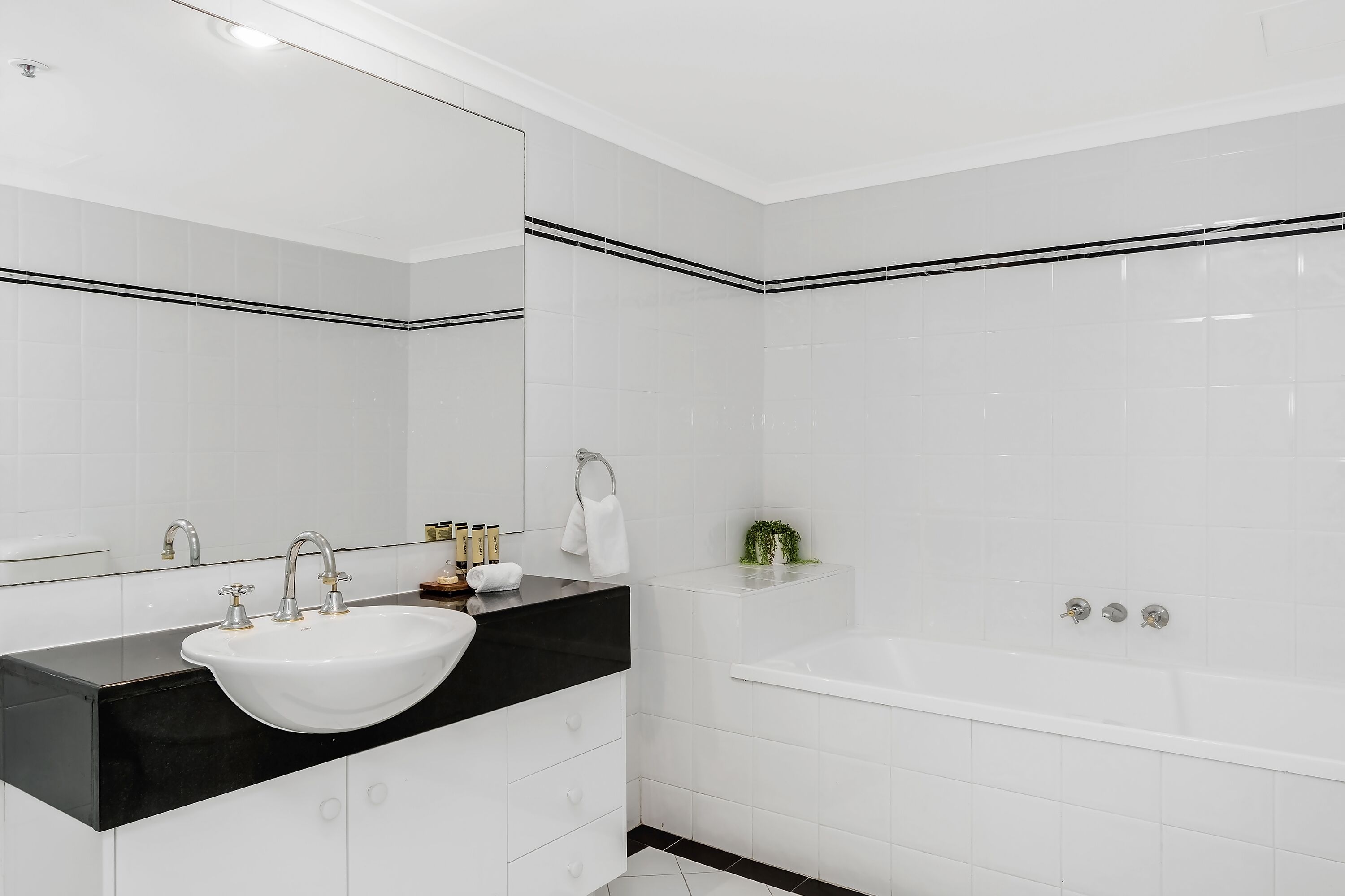 Oscar on Main Resort — image 13