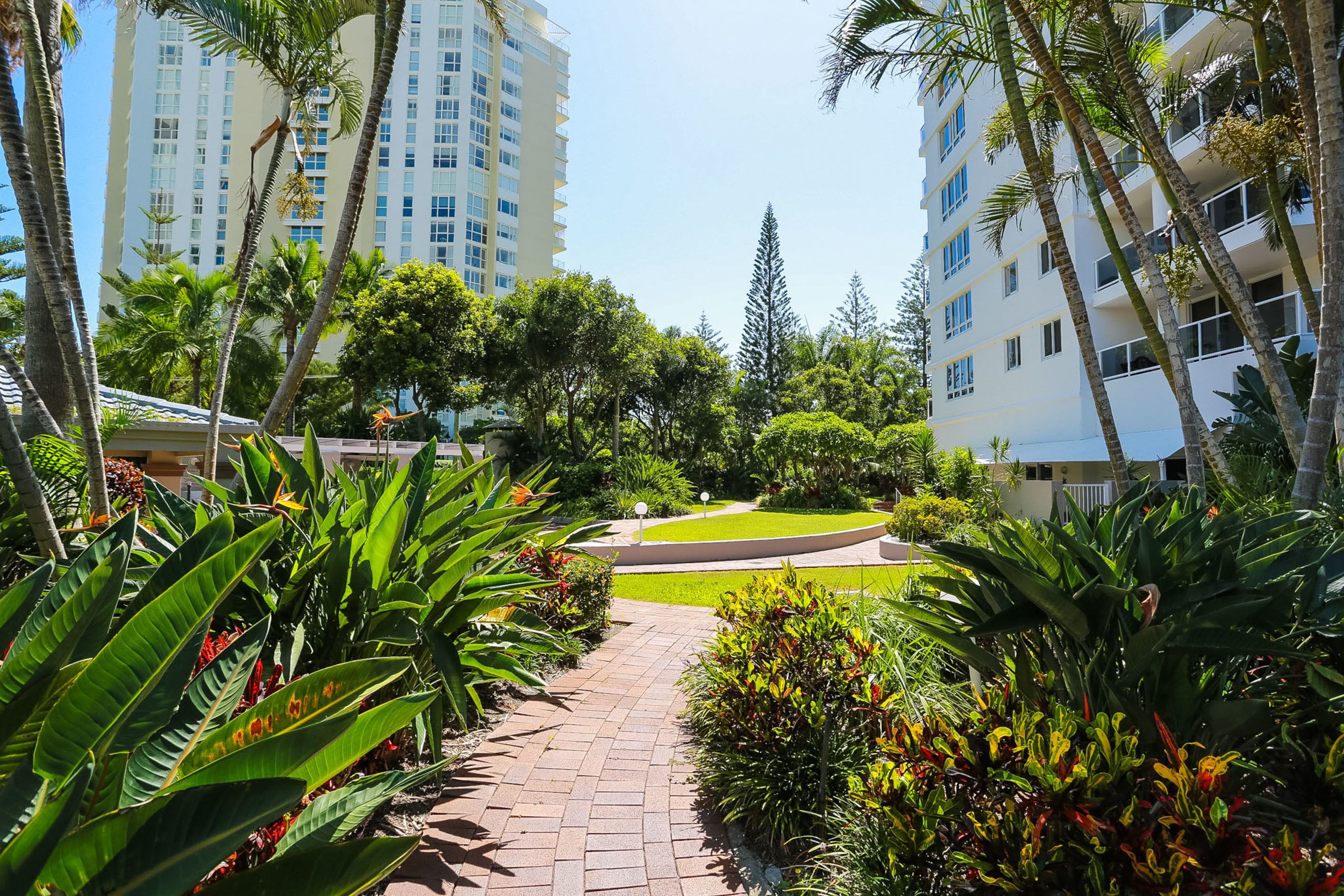 Oscar on Main Resort — image 18