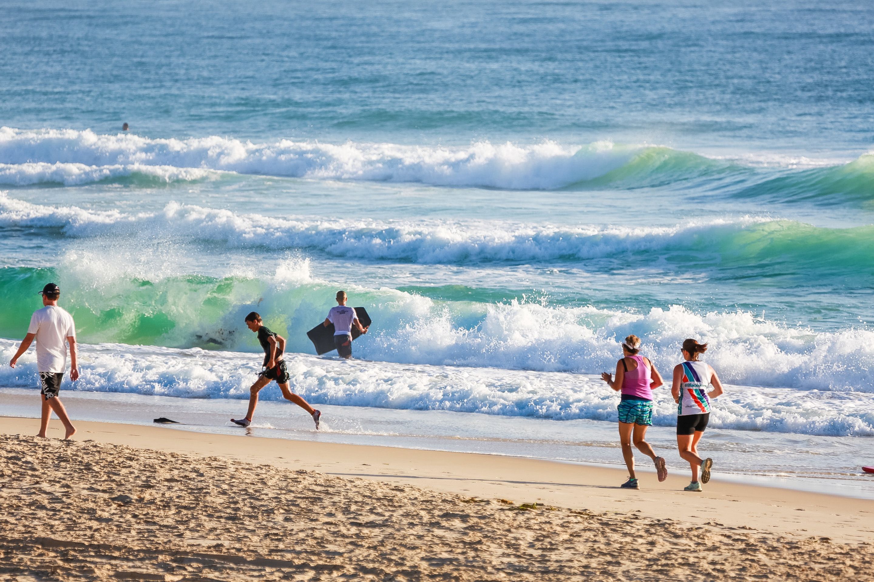 Oscar on Main Resort — image 15