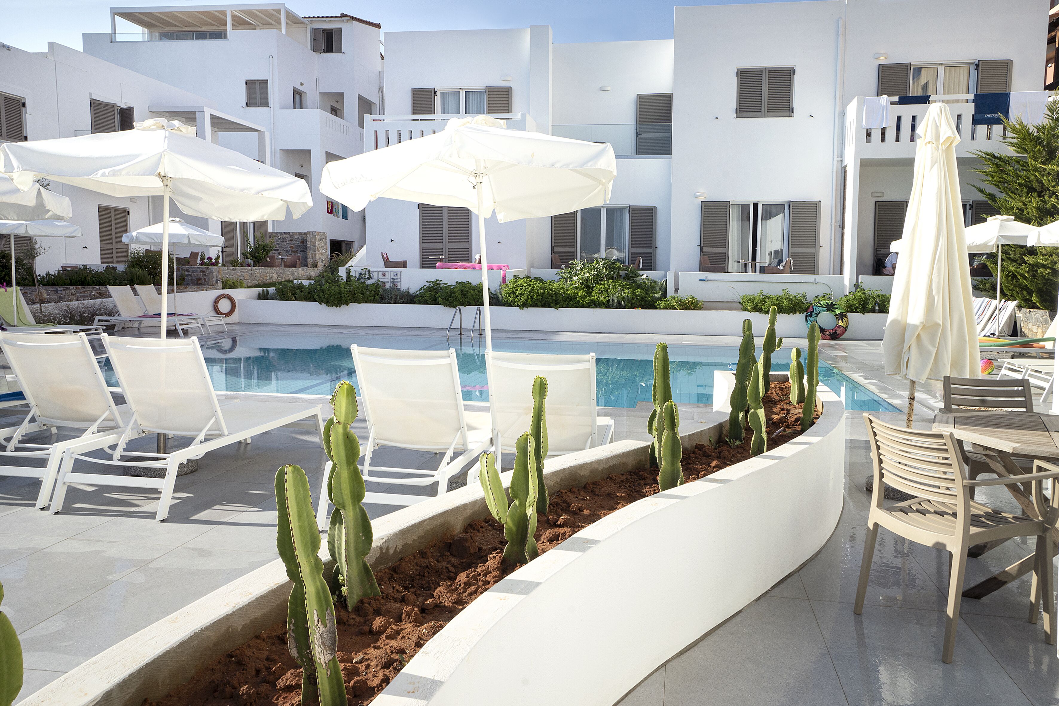 Un espace piscine agrémenté de chaises longues blanches, de parasols et de cactus.