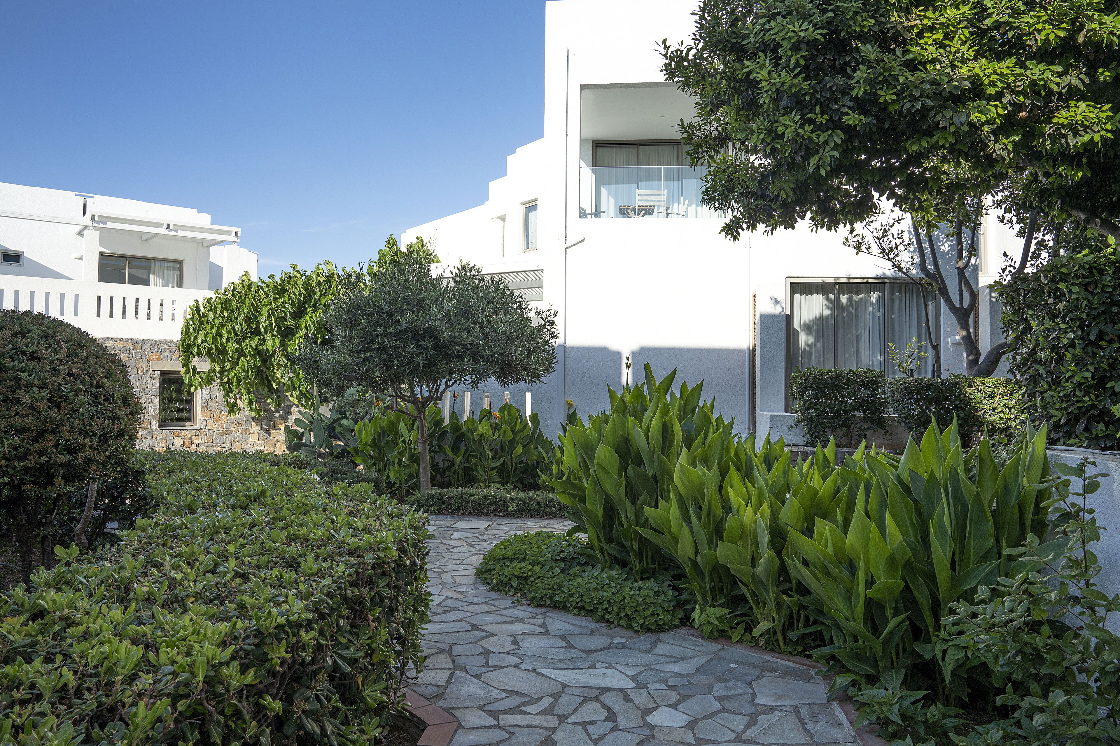 A modern building with a stone pathway, surrounded by lush greenery and a clear blue sky.