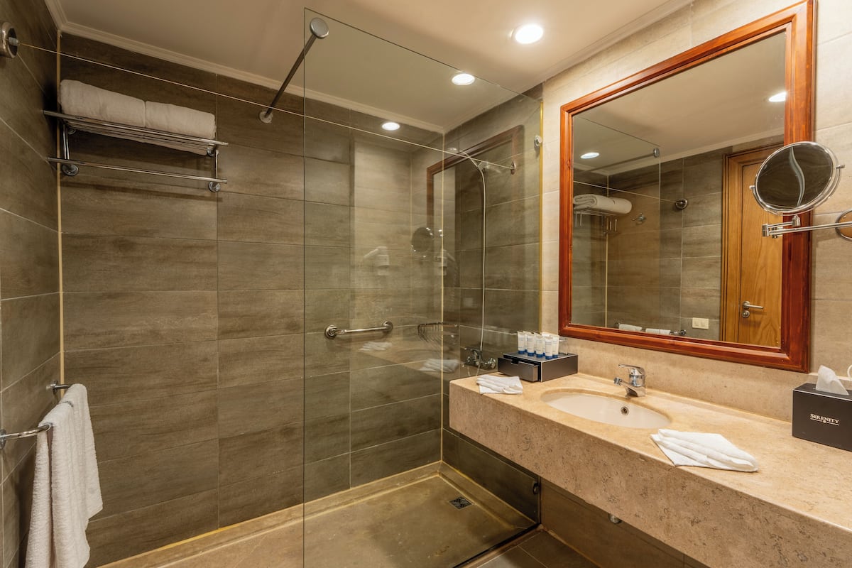 shower, free toiletries, hair dryer, towels