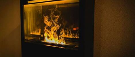 A wall-mounted fireplace with a glass enclosure, displaying a fire.