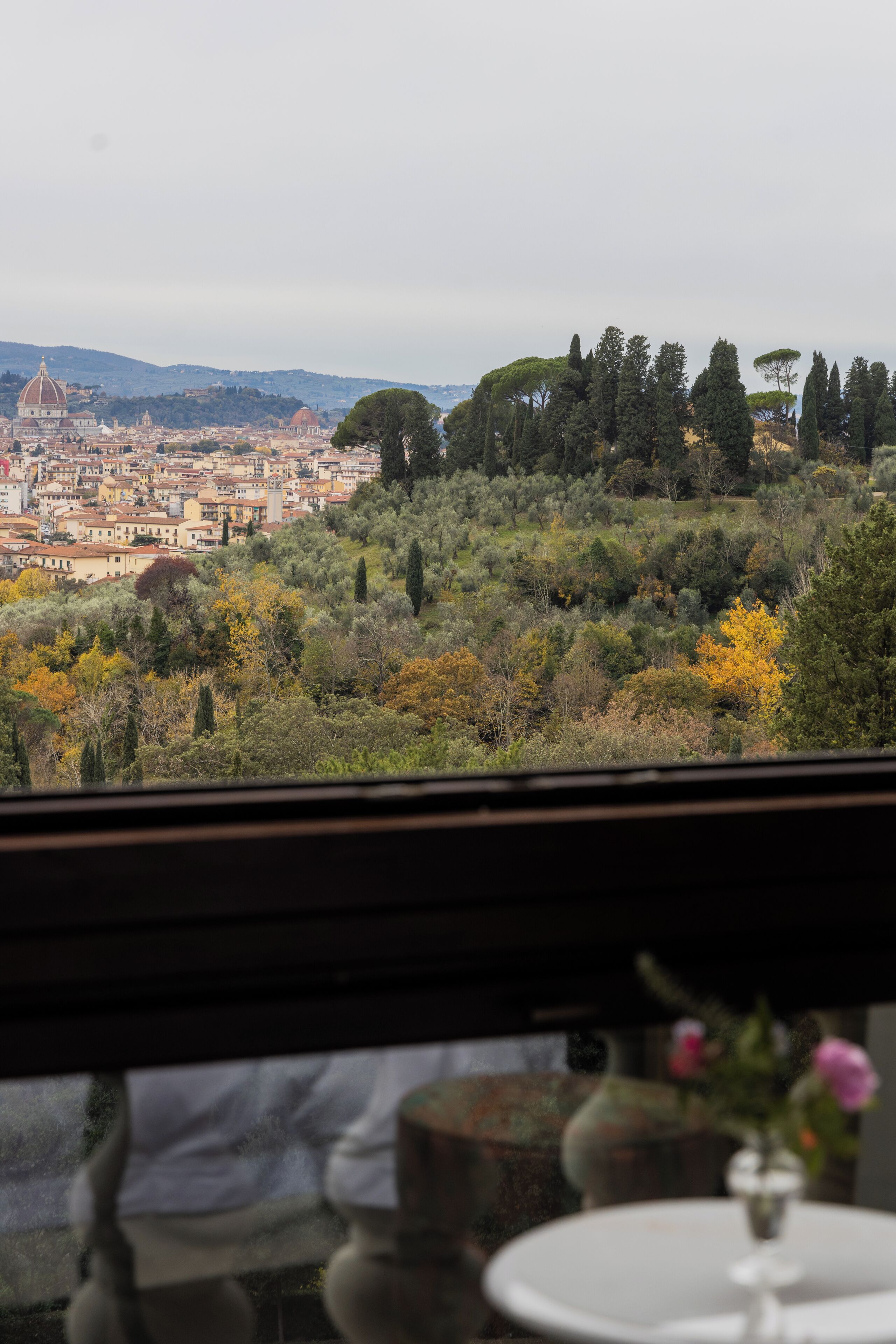 A view from a window overlooking a cityscape with a hill and trees.