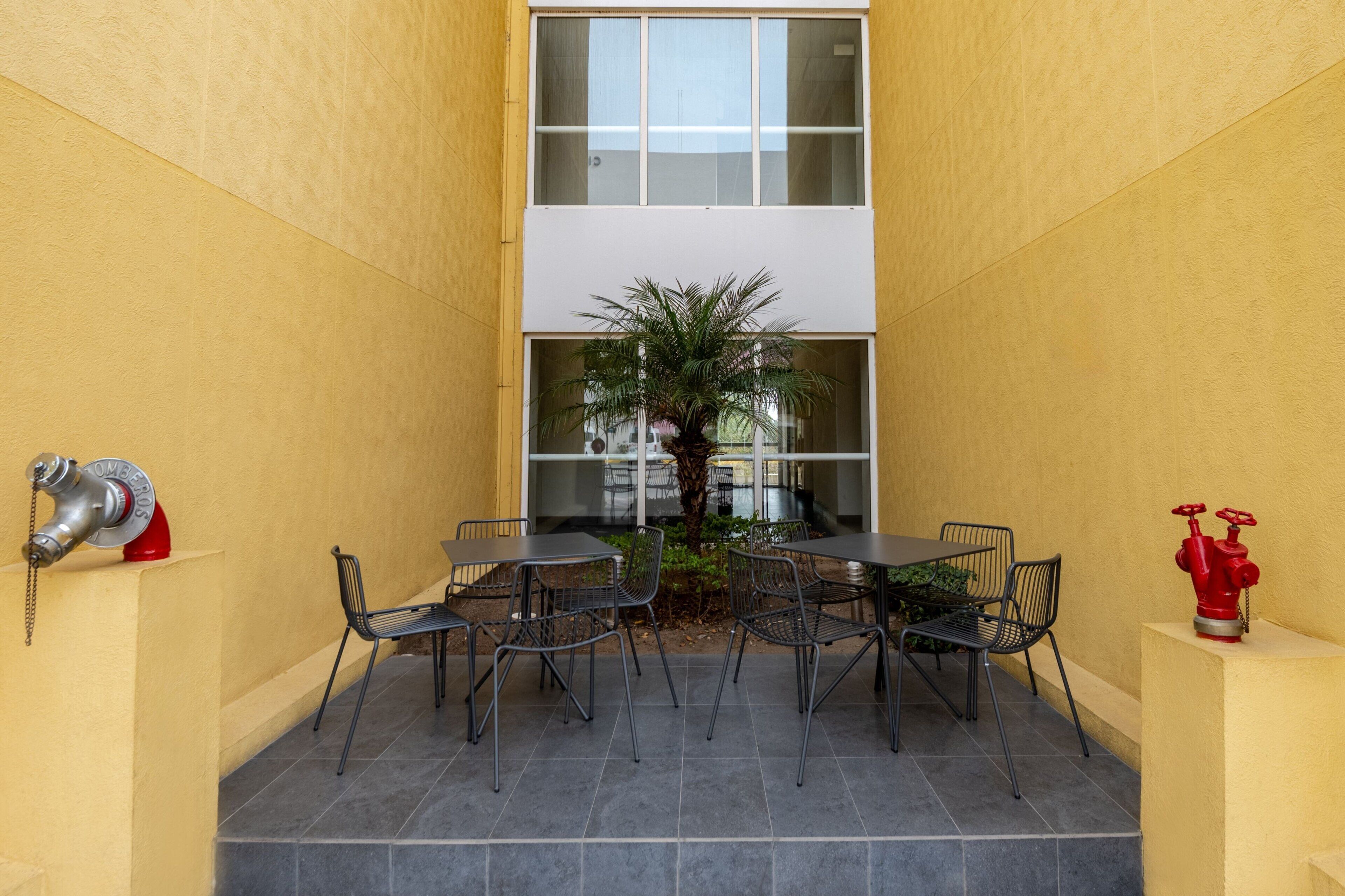 Un patio con una mesa, sillas, una palmera y dos hidrantes.