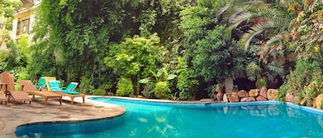 Una piscina rodeada de exuberante vegetación y sillas de descanso de madera.