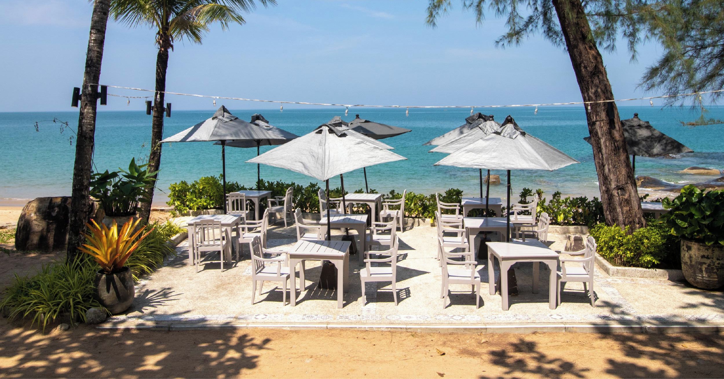 Un restaurante frente a la playa con terraza, palmeras y vista al océano.