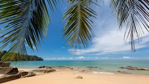 Una playa con cielo despejado, palmeras y agua tranquila.