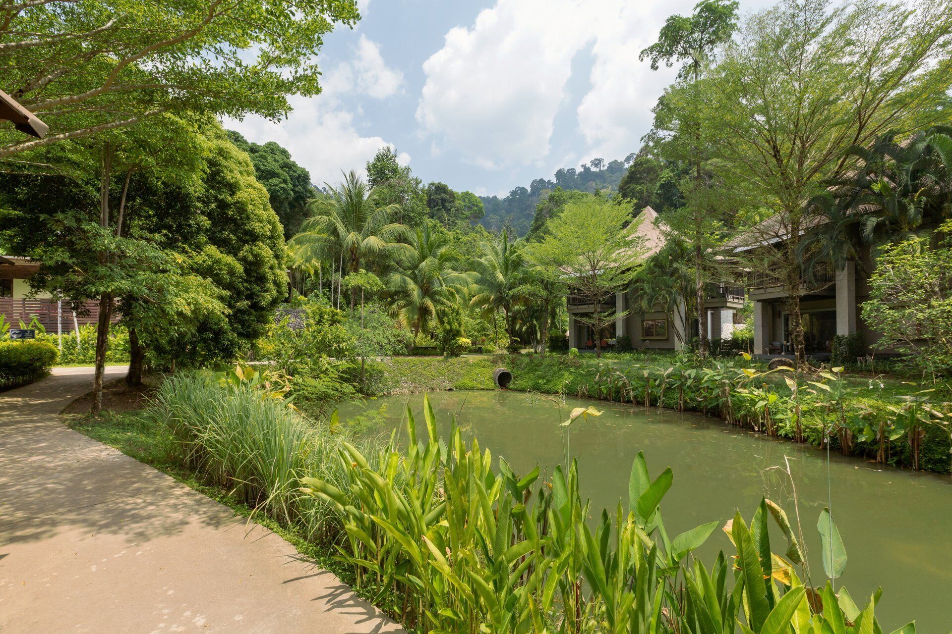 Photo - Khaolak Wanaburee Resort - SHA Extra Plus