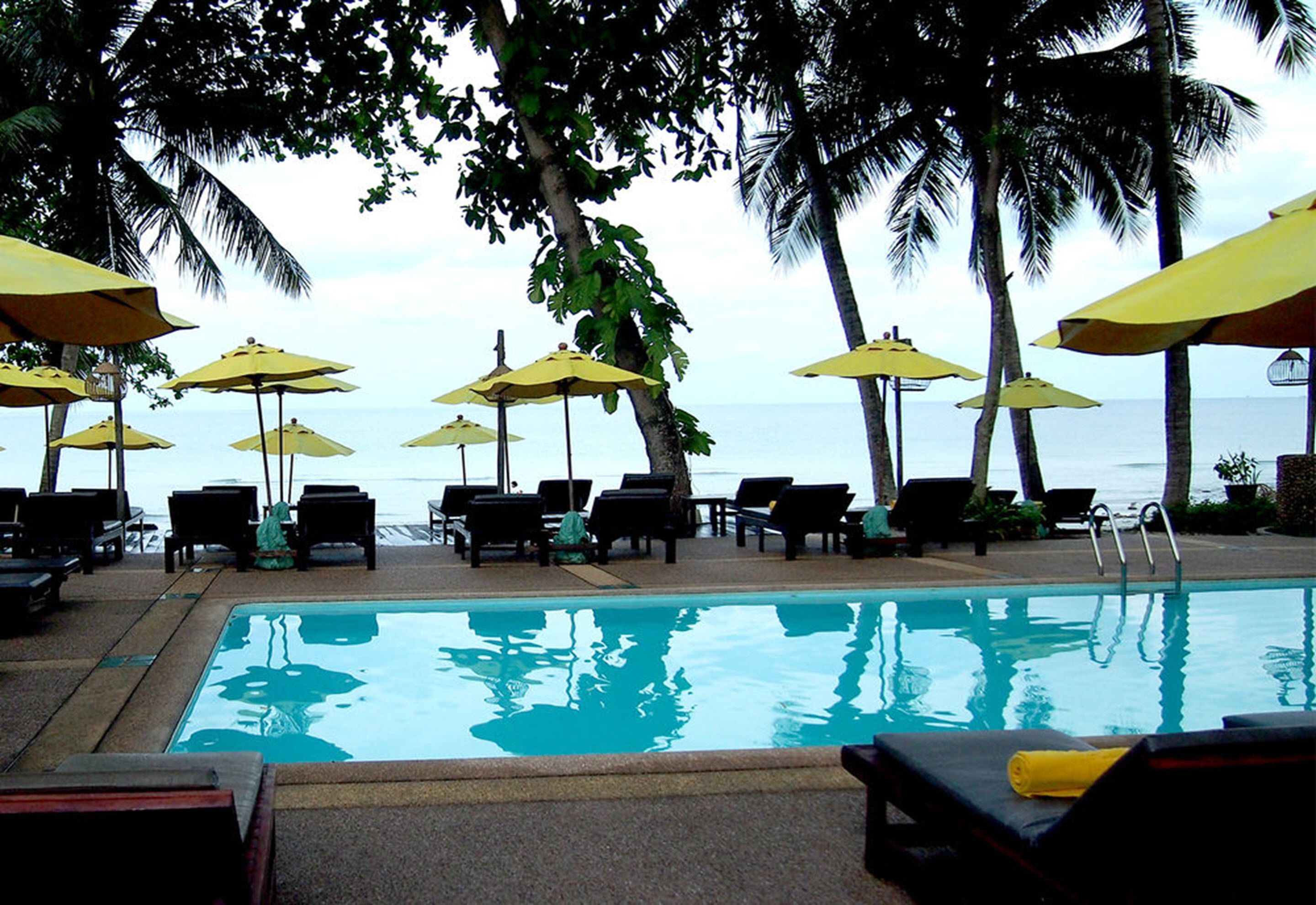 A poolside area with lounge chairs and umbrellas, overlooking the ocean.