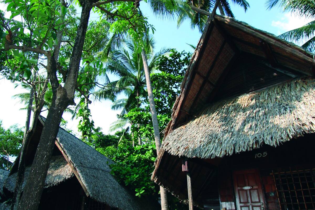 A thatched-roof hut with a wooden porch, surrounded by lush greenery and palm trees.