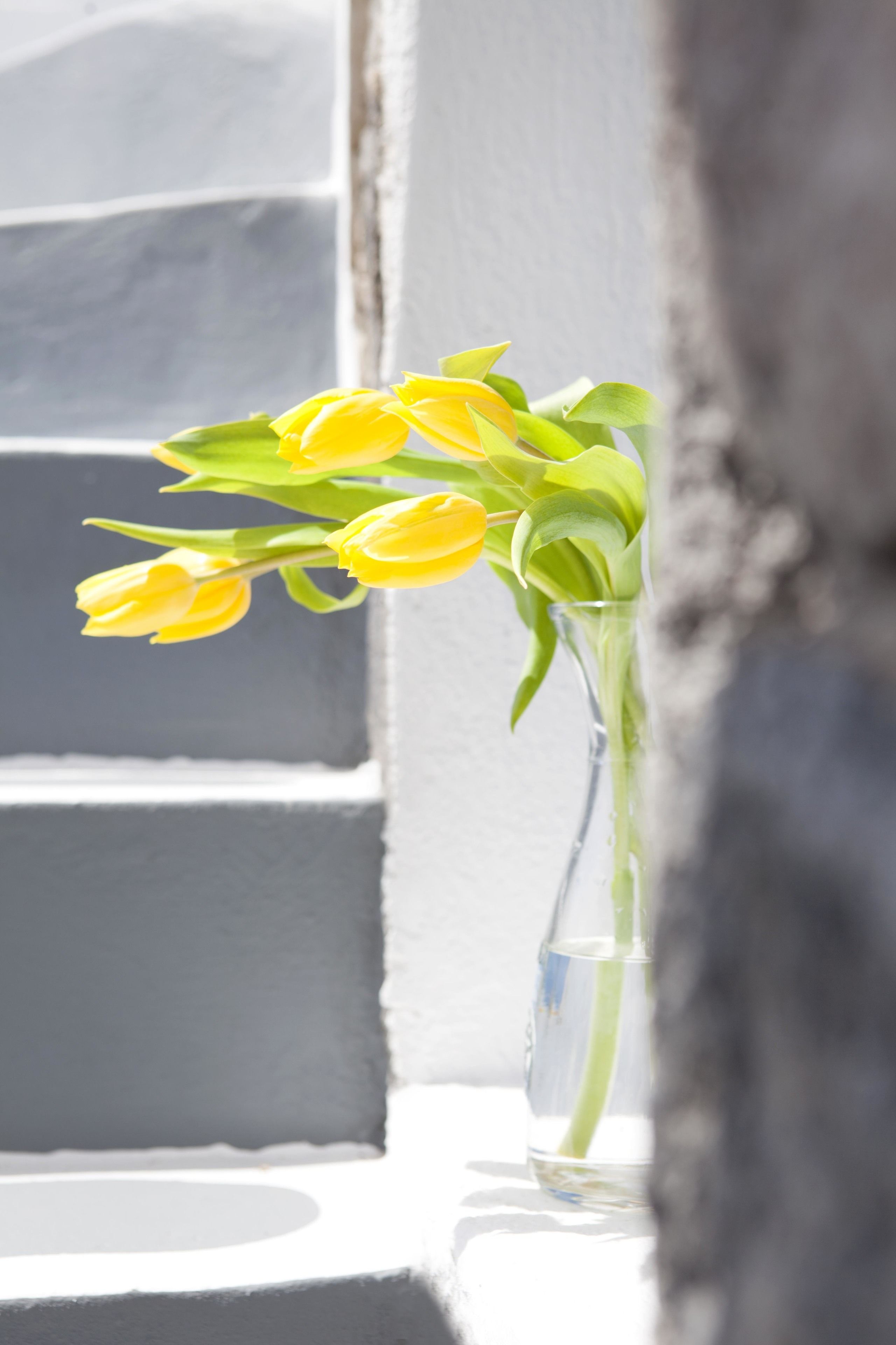 A clear glass vase with yellow flowers on a windowsill.