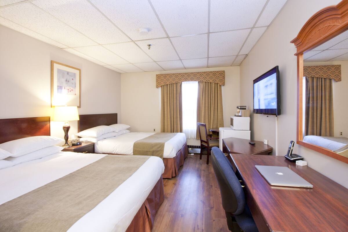 华丽客房, 2 张大床