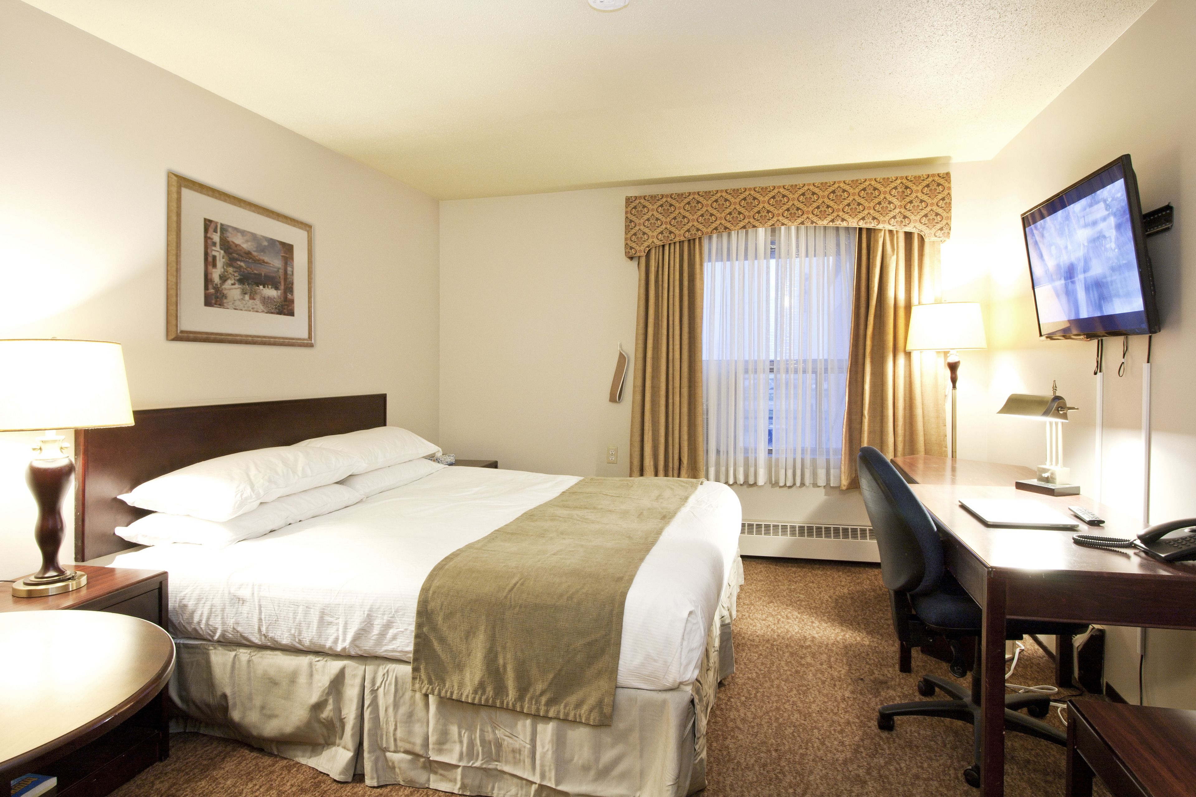 华丽客房, 1 张特大床