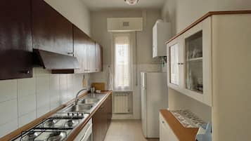 Classic Apartment, 2 Bedrooms, Kitchen | Private kitchen | Fridge