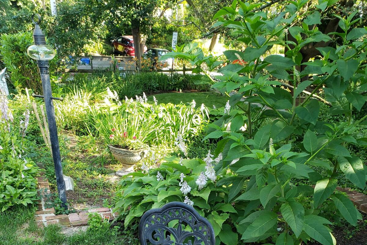 Ein Garten mit einer Terrasse, einem Tisch und Stühlen, umgeben von üppiger Bepflanzung und einem Pflasterweg.