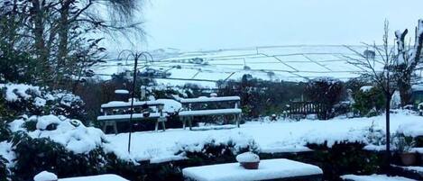 Luxury House, Ensuite, Courtyard View | View from property