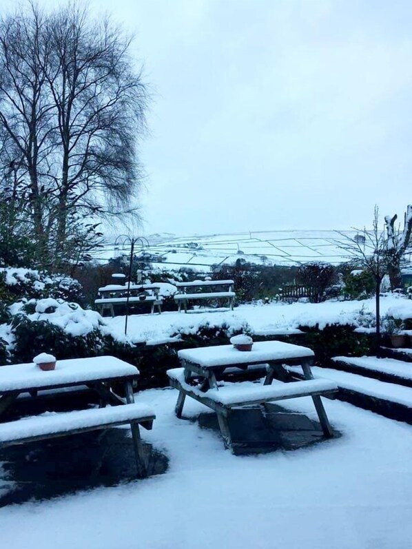 Luxury House, Ensuite, Courtyard View | View from property