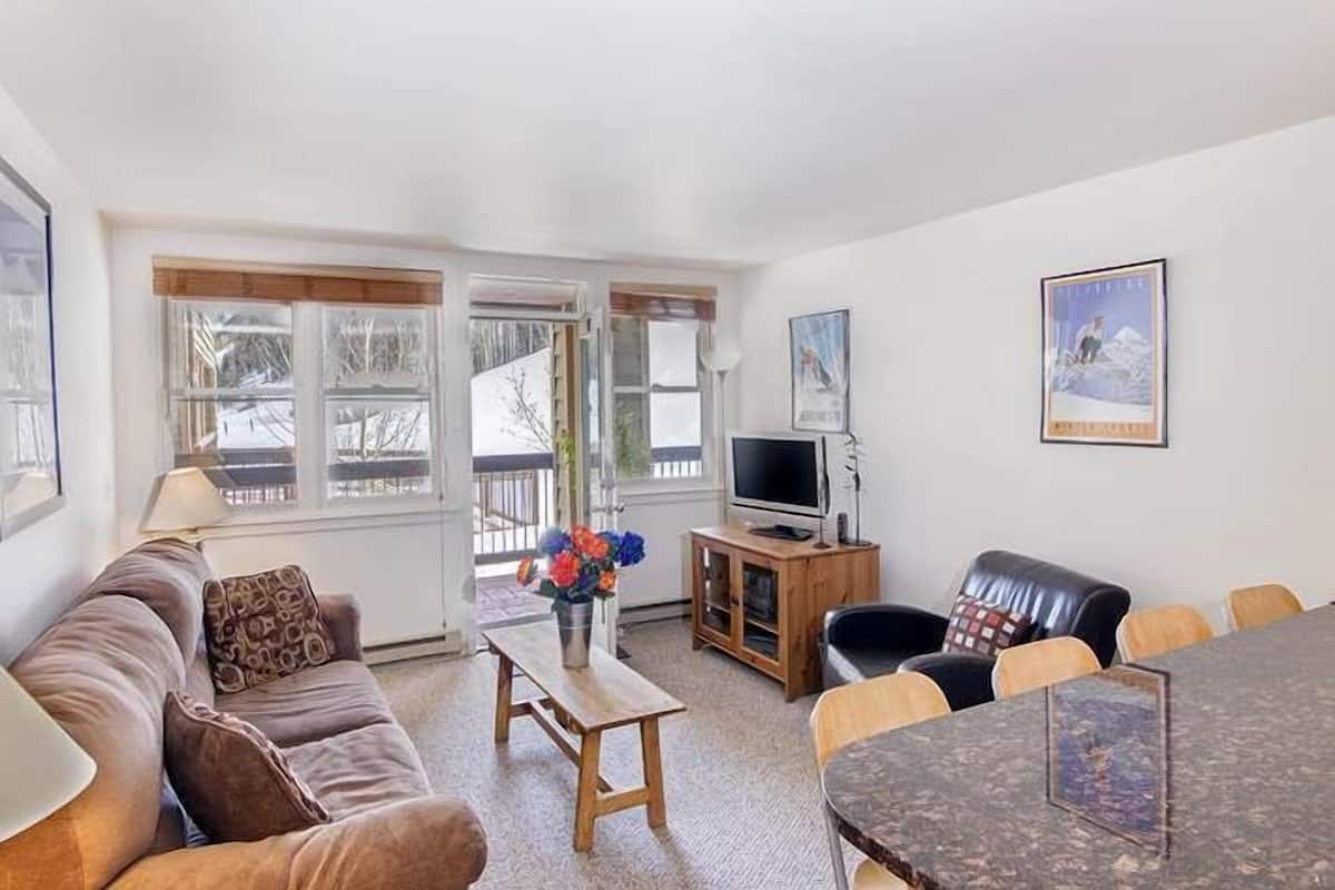 1 Bedroom/1 Bathroom Silver 1 | Living area | Flat-screen TV, fireplace, DVD player