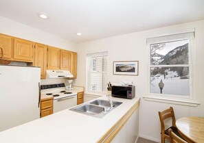 1 Bedroom/1 Bathroom Silver 1 | Private kitchen | Fridge, microwave, stovetop, dishwasher - Etta Place by Telluride Alpine Lodging (Telluride)