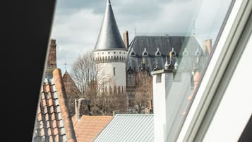 Vista desde la propiedad