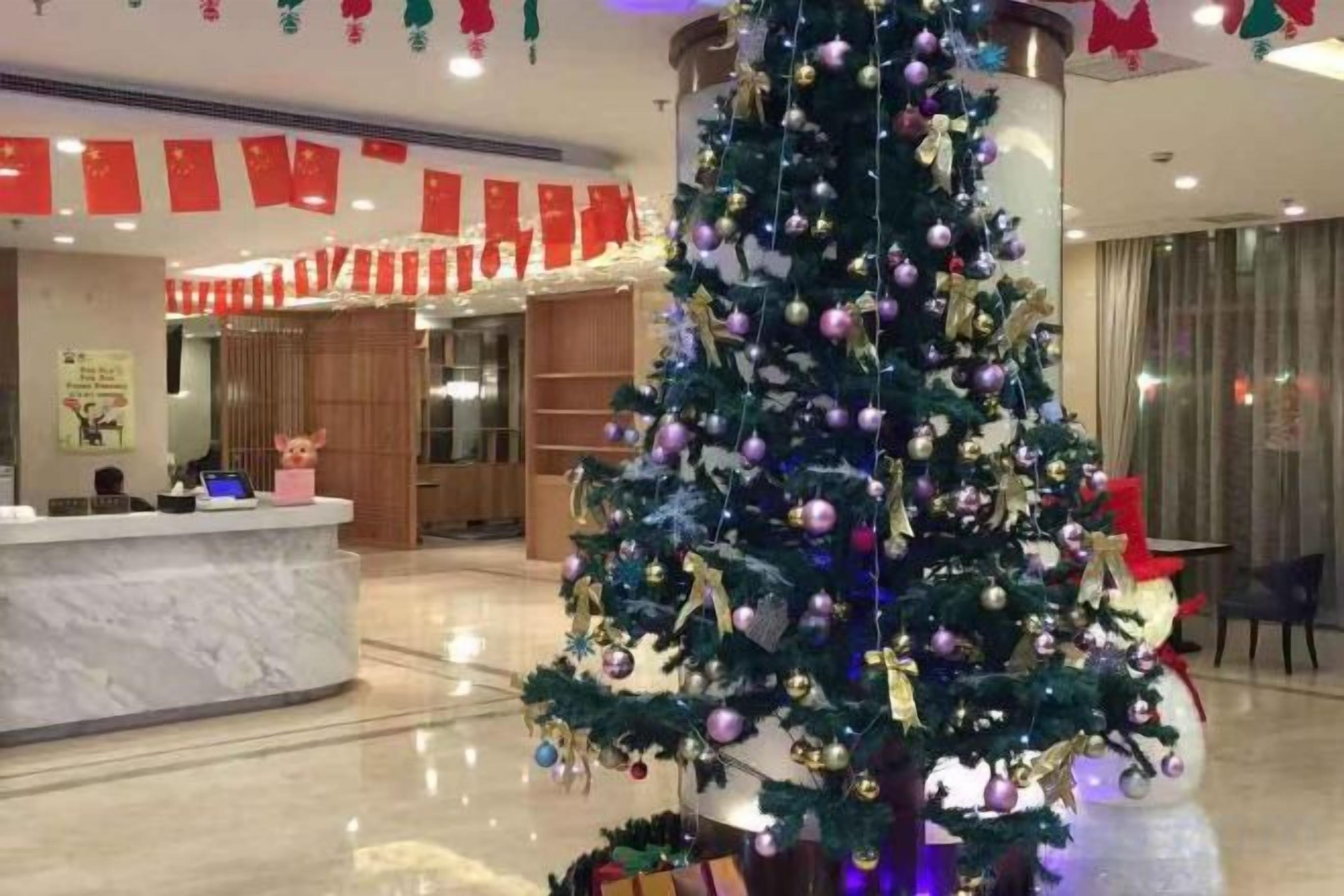 A reception area with a Christmas tree, a counter, and a large window.