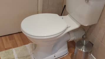 A bathroom with a toilet, a trash bin, and a floor mat.