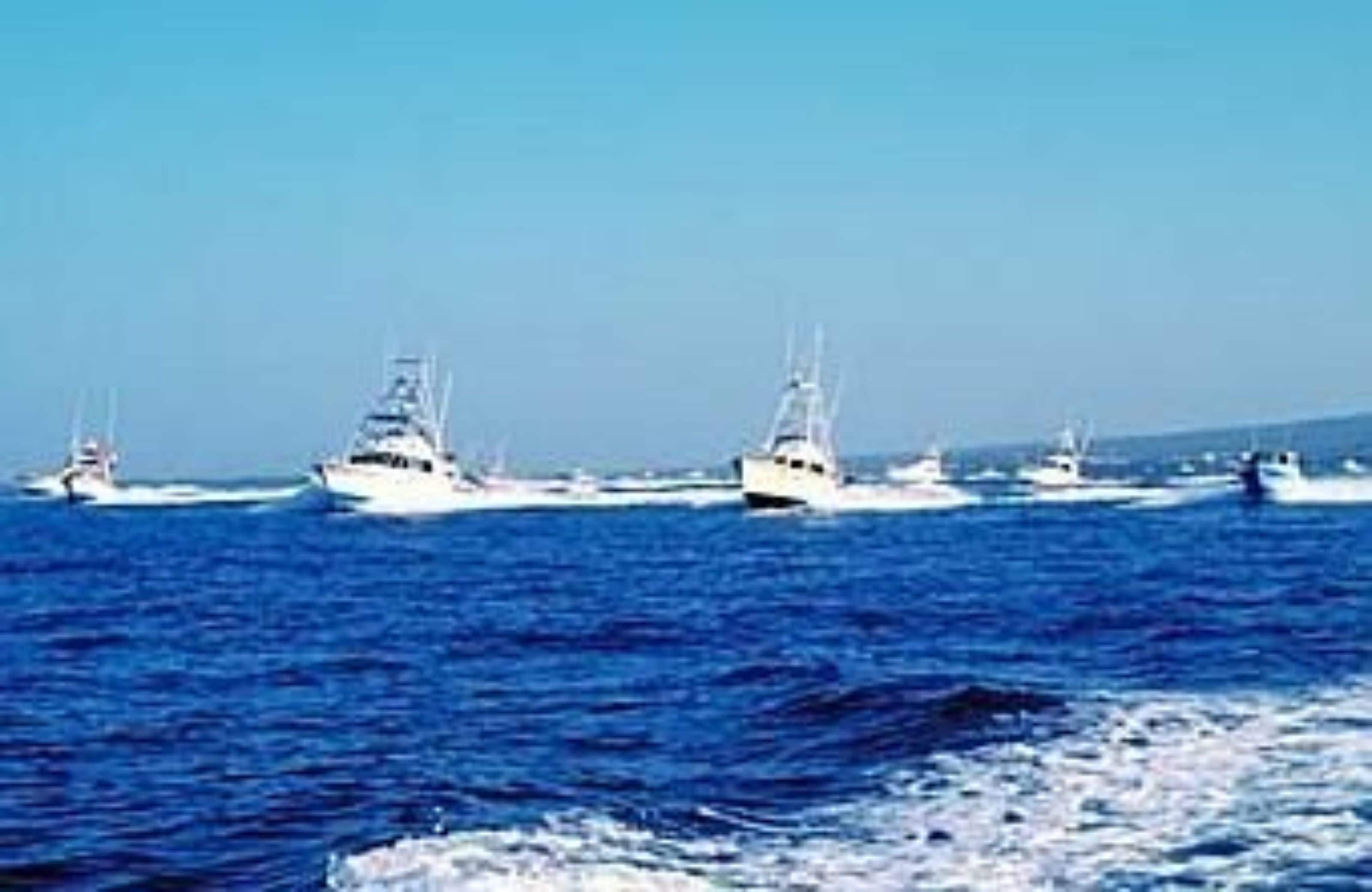 Un port de plaisance où plusieurs bateaux sont amarrés.