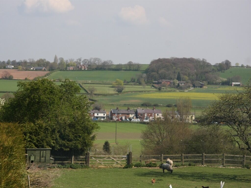 A rural landscape with a farmhouse, open fields, and a few animals grazing.
