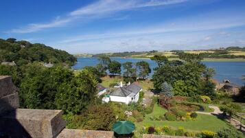 Ropa de cama hipoalergénica, decoración personalizada y escritorio