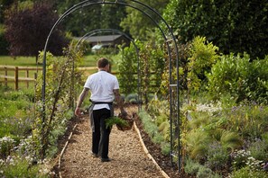 Exterior - The Woolpack Country Inn (Alresford)