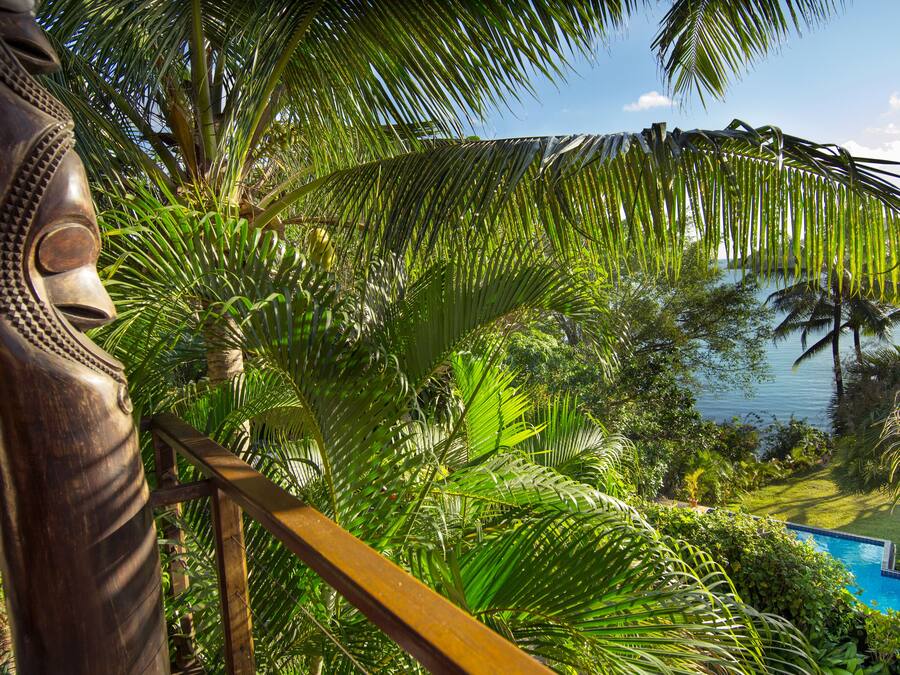 A tropical outdoor area with a pool, palm trees, and a wooden fence.