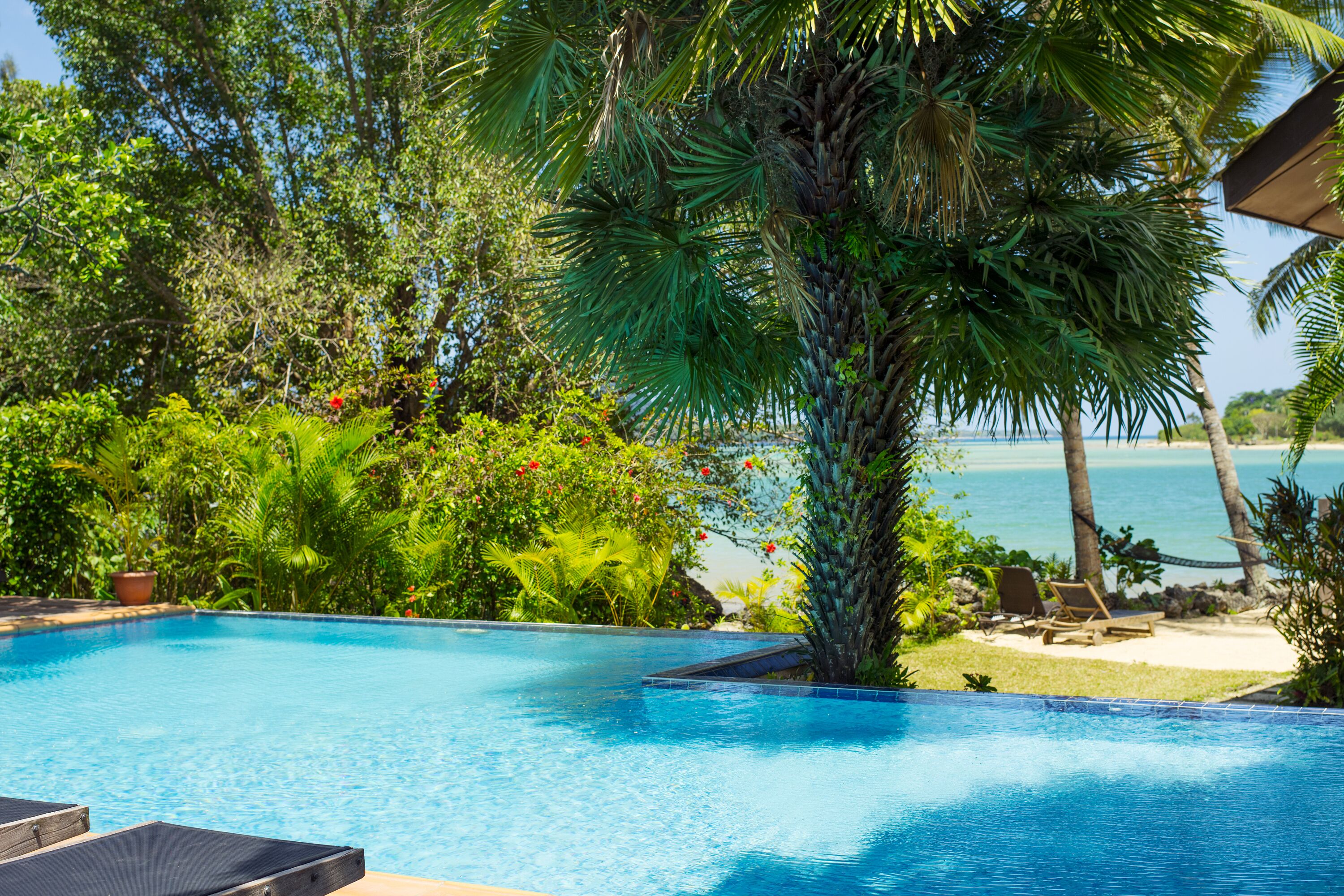 outdoor pool, pool umbrellas, pool loungers