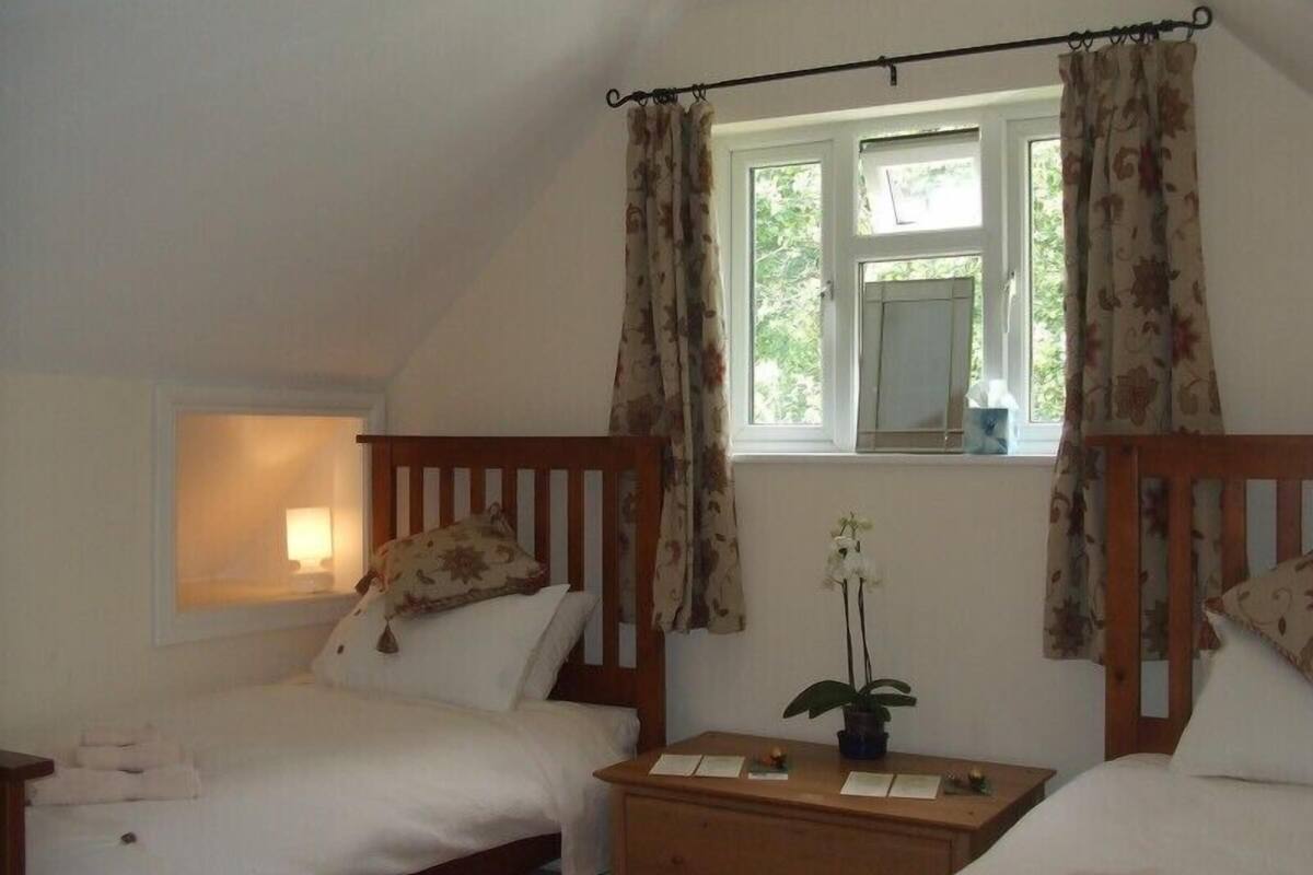 A bedroom with two single beds, a wooden nightstand, a small table with a plant, and a window with curtains.