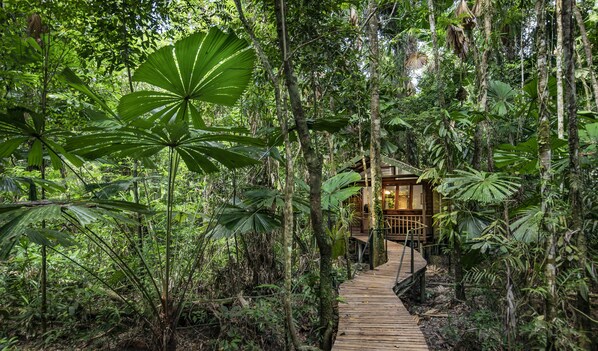 Exterior - Daintree Wilderness Lodge (Diwan)