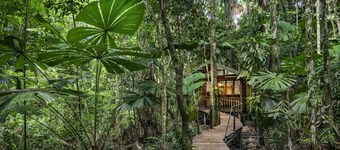 Daintree Wilderness Lodge
