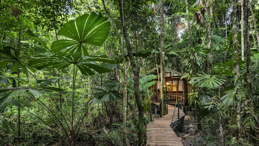 Daintree Wilderness Lodge