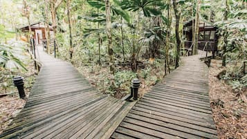 Un sendero de madera conduce a dos cabañas de madera rodeadas de densa vegetación tropical.