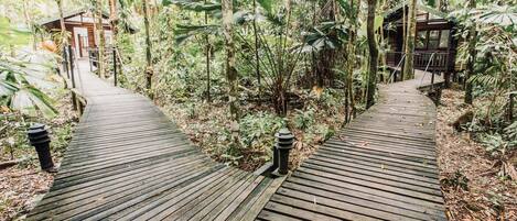 A wooden pathway leading to two wooden cabins surrounded by dense tropical vegetation.