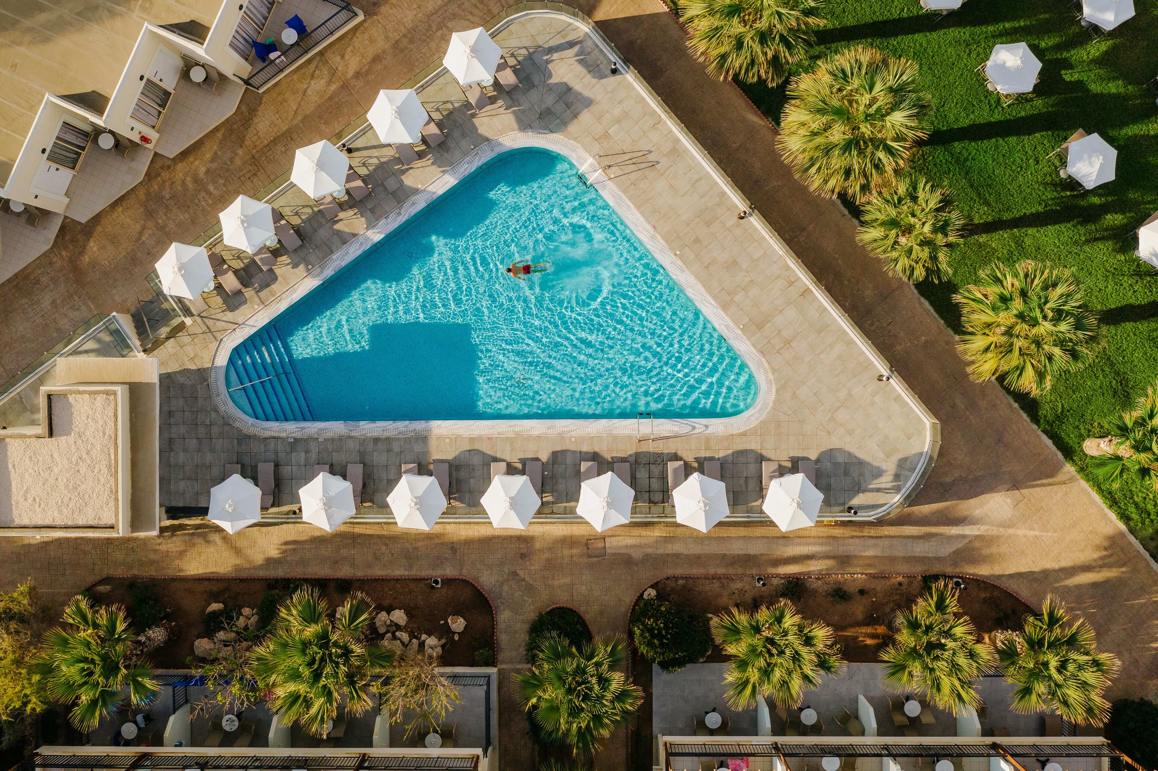 An aerial view of a swimming pool surrounded by lounge chairs and umbrellas, with palm trees and a paved walkway.