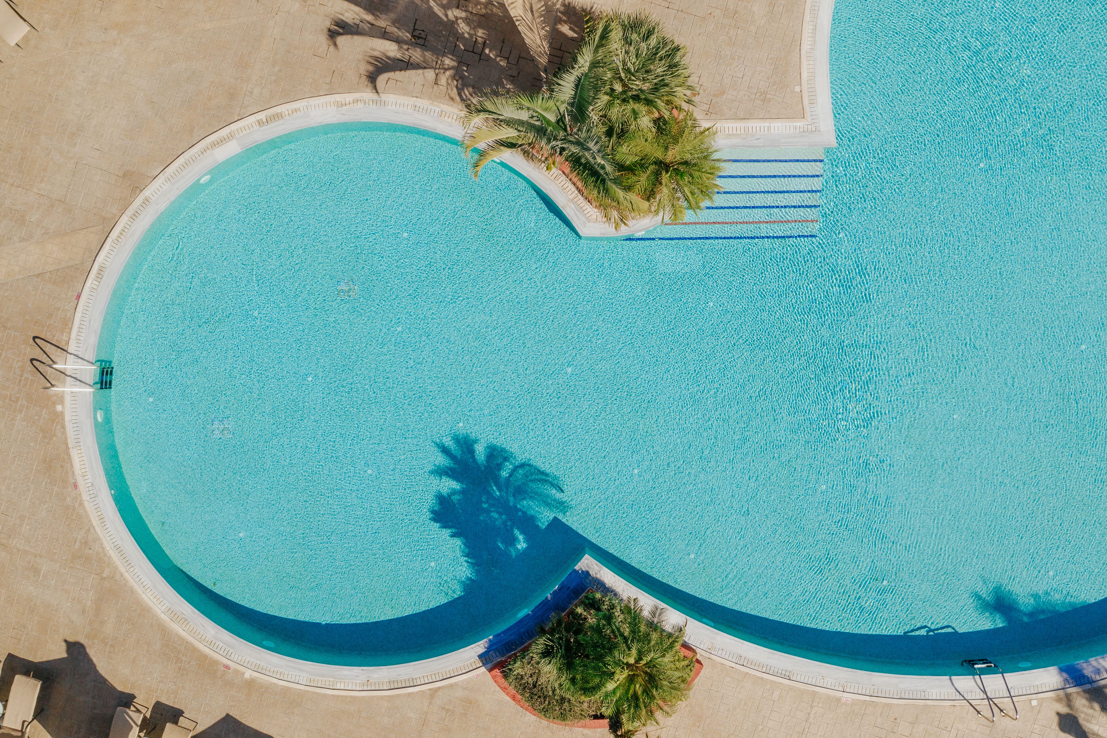 Vista aérea de una piscina con borde curvo, rodeada de palmeras y una zona de terraza con baldosas.
