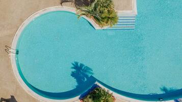 Vista aérea de una piscina con borde curvo, rodeada de palmeras y una zona de terraza con baldosas.