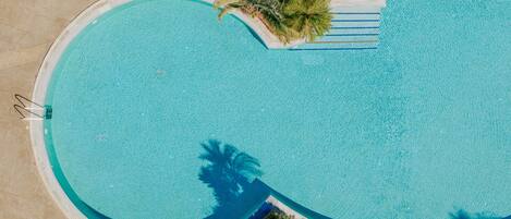 Vista aérea de una piscina con borde curvo, rodeada de palmeras y una zona de terraza con baldosas.