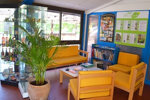 Recepção