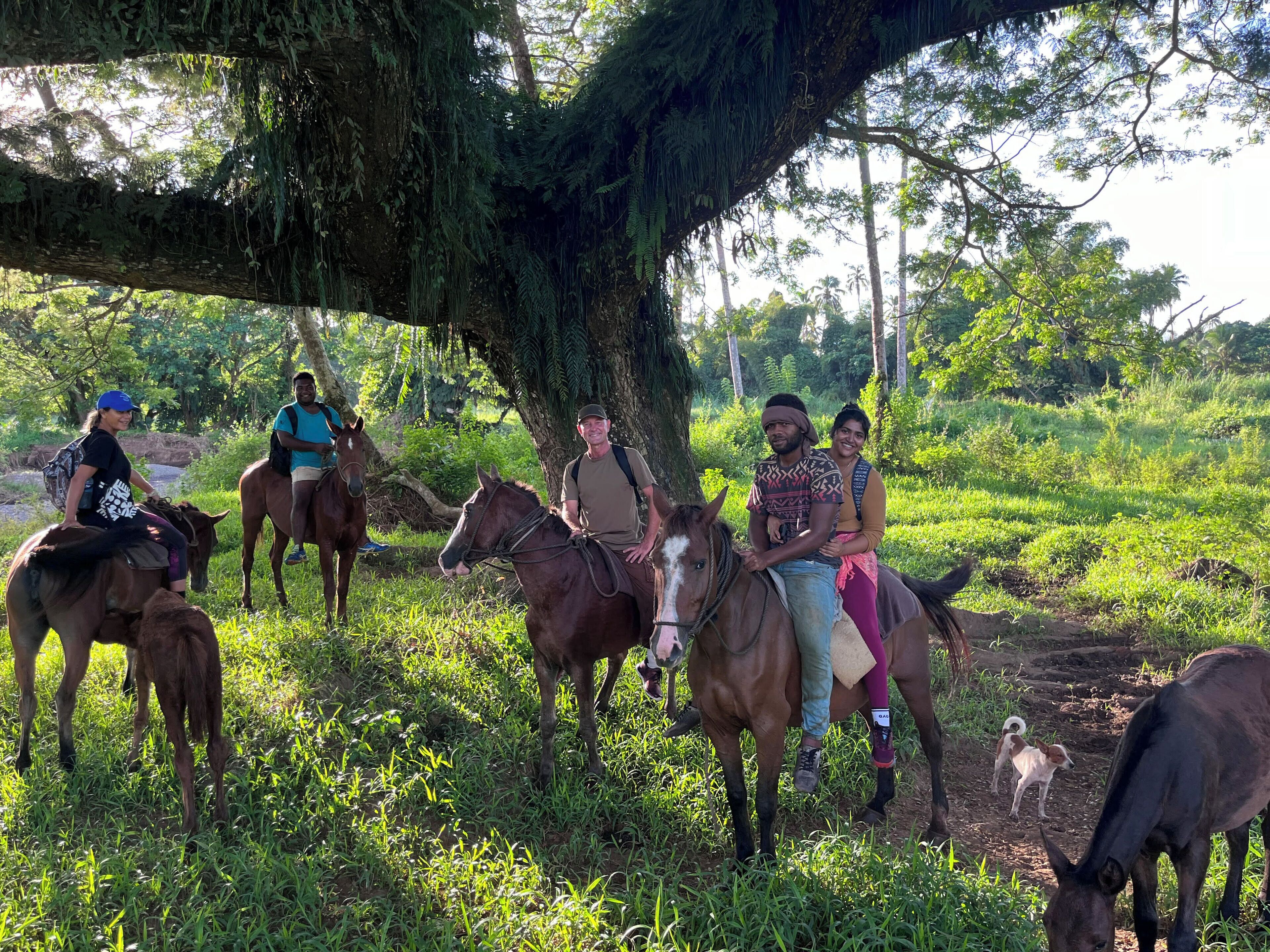 A group of people riding horses in a lush, green outdoor setting with trees and grass.