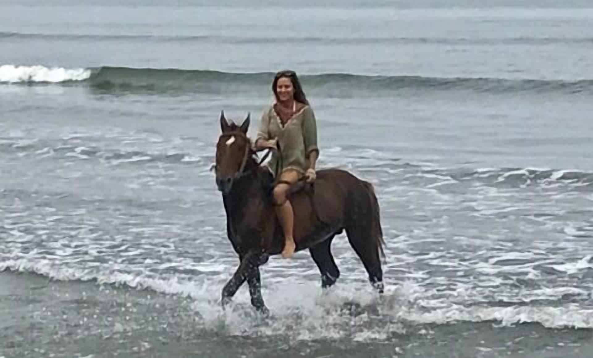 Een persoon rijdt op een paard aan een strand, met golven.
