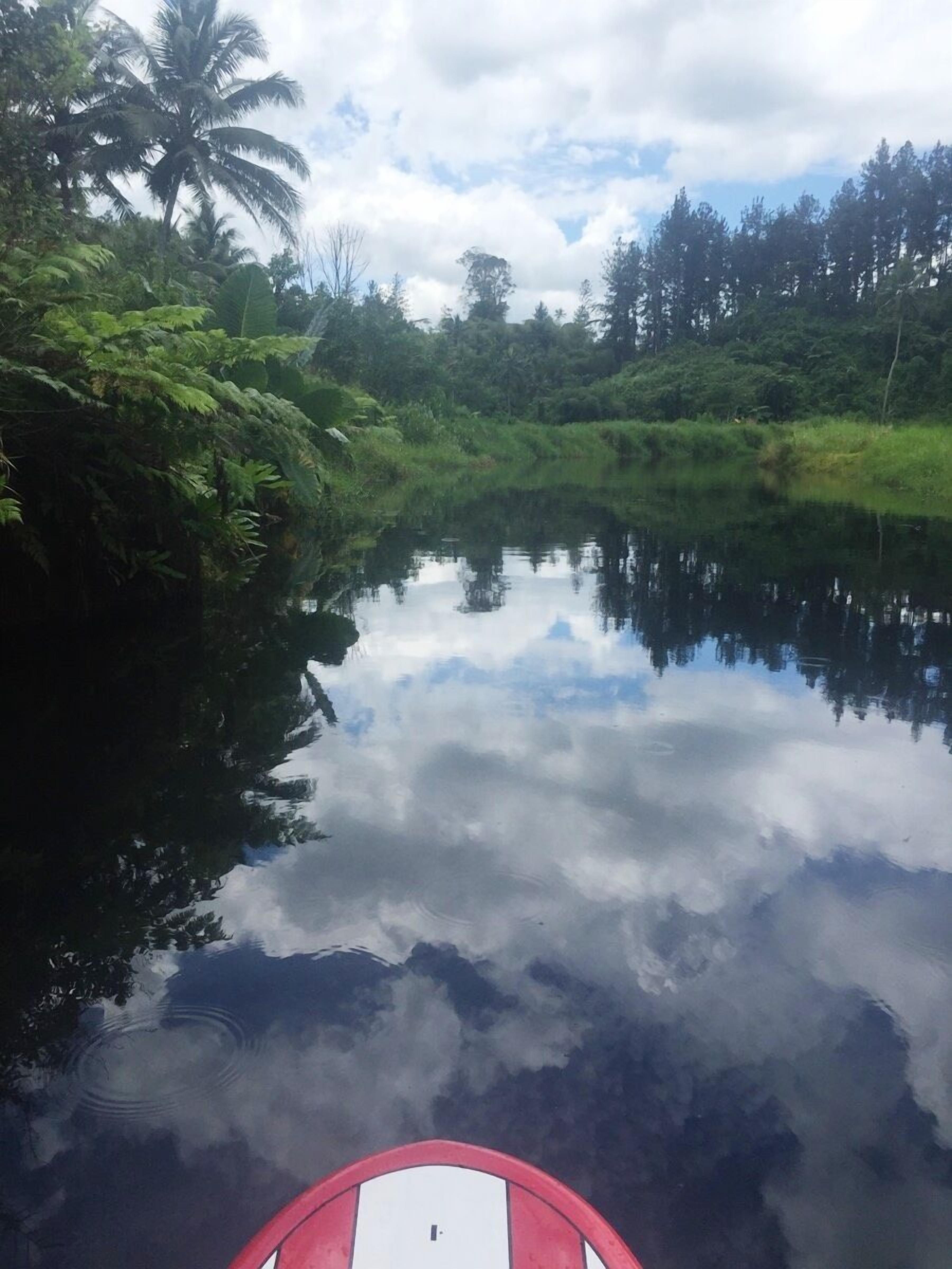 A calm river with dense greenery and a red boat in the foreground.